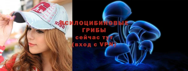 2c-b Беломорск
