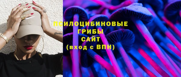 кокаин Белокуриха